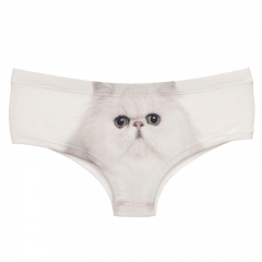 女式内裤白底大白猫persian cat
