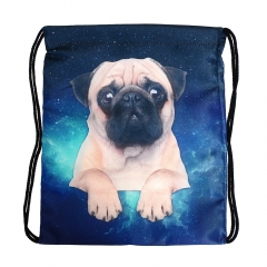 simple backpack pug galaxy