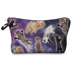 Cosmetic case   cat