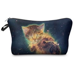 Cosmetic case GALAXY GINGER KITTY