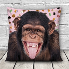 Pillow monkey pink