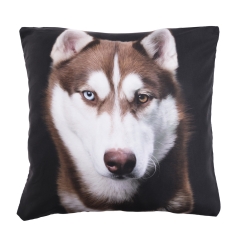 Pillow  BROWN HUSKY