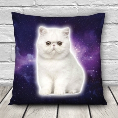 Pillow GALAXY WHITECAT