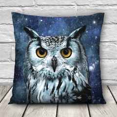 Pillow GALAXY OWL