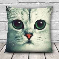Pillow GREEN EYE CAT