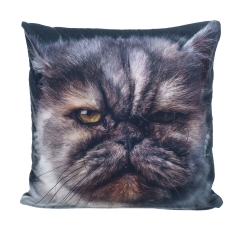 Pillow ASSASSIN CAT