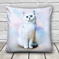 Pillow PASTEL CAT