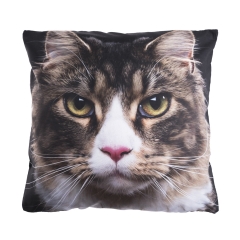 Pillow PINK NOSE CAT