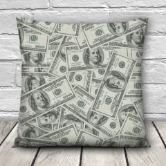 Pillow DOLLAR