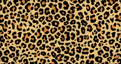 Collars Natural Leopard