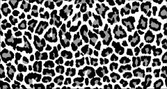 Collars Black and white leopard print