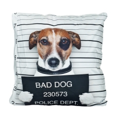 Pillow bad dog