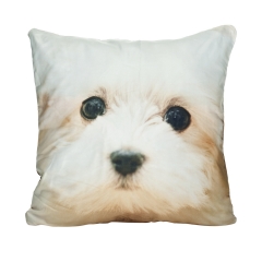 Pillow puppy soft