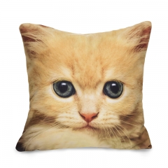 Pillow GINGER CAT