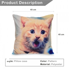 Pillow KITTEN2