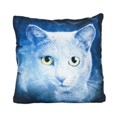 Pillow ghost cat