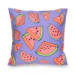 Pillow watermelon purple