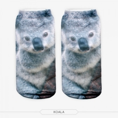 socks koala