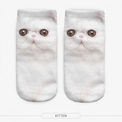 socks kitten