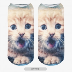 socks kitten2