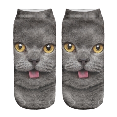 socks BRITISH GRAY CAT