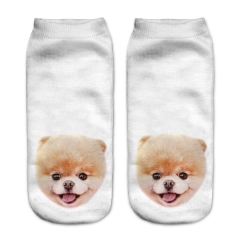 socks boo puppy head