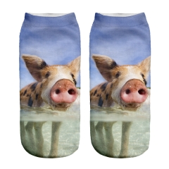 socks water pig