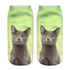 socks green eyes ombre cat