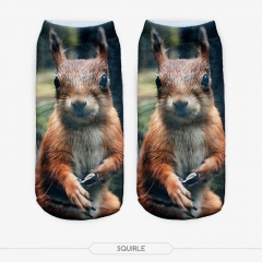 socks squirle