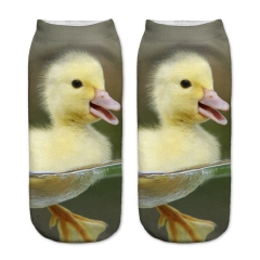 socks little duck