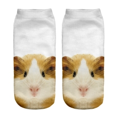 socks GUINEA PIG