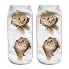 socks hole two cats