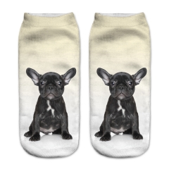 socks black french bulldog puppy