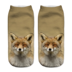 socks smiling fox