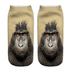 socks surprised monkey