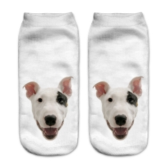 socks pitbull puppy head