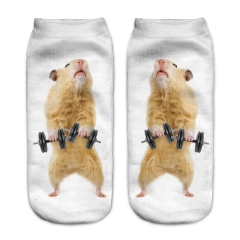 socks stron hamster