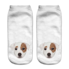 socks parson russell puppy head