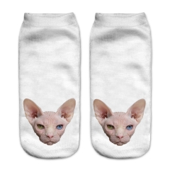 socks sphinx kitty head