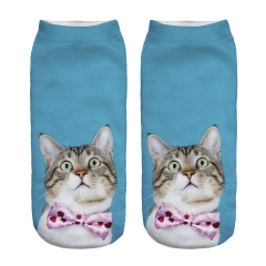 socks elegant cat