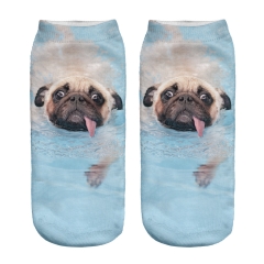 socks swimming pool pug dog