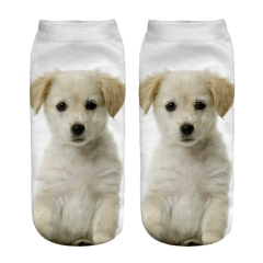 socks beige puppy