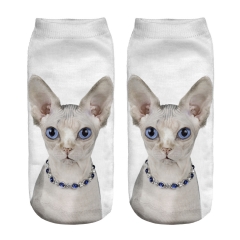socks blue nacklace sphynx cat