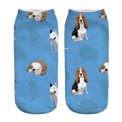 socks bulldog and beagle