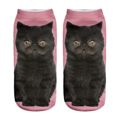 socks brown cat on pink