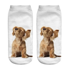 socks listening dog