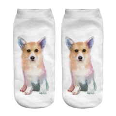 socks watercolordog