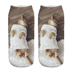 socks sleeping sweater kitty
