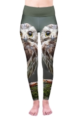 高腰打底裤可爱的猫头鹰owl green