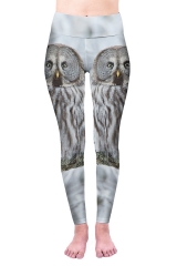 High waist leggings owl winter